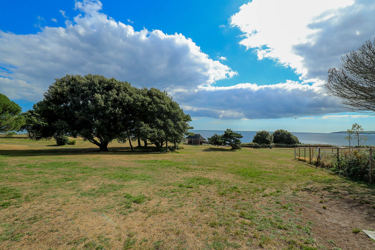 Pirbright Blue Homes